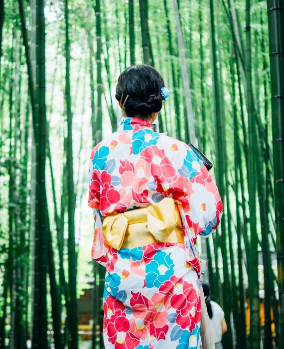 bamboo-trees-1853316_1920