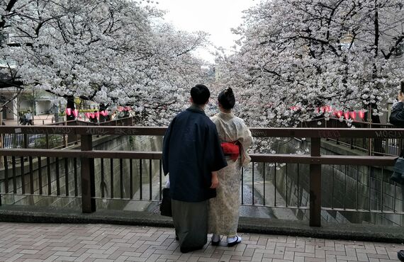 福岡で訪問着に最適な着物をお探しの方は気軽にご相談ください